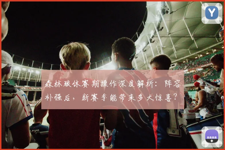 森林狼休赛期操作深度解析：阵容补强后，新赛季能带来多大惊喜？