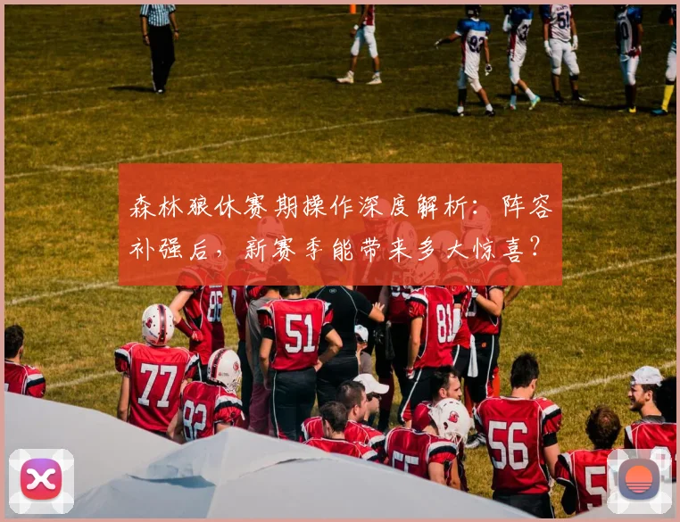 森林狼休赛期操作深度解析:阵容补强后,新赛季能带来多大惊喜?